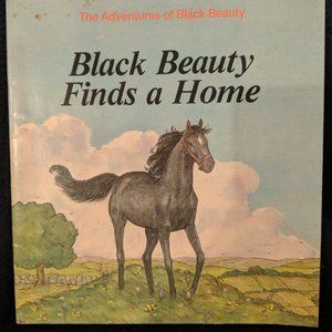 Book-Black Beauty Finds a Home